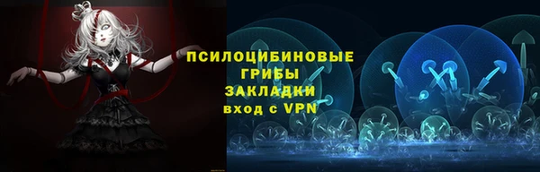таблы Краснослободск