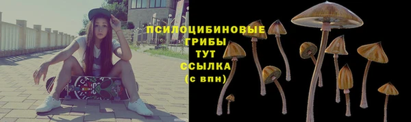таблы Краснослободск