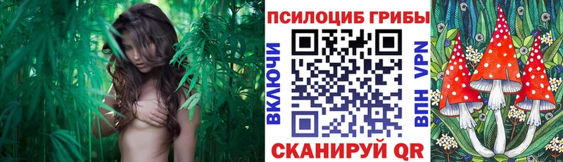 Галлюциногенные грибы Magic Shrooms  Слюдянка 